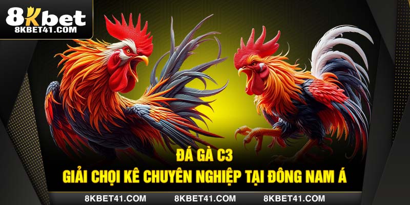 Đá gà C3 - Giải chọi kê chuyên nghiệp tại Đông Nam Á
